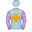 Runner silk