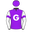 Runner silk