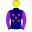 Runner silk