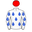 Runner silk