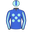Runner silk