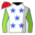 Runner silk