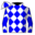 Runner silk
