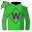 Runner silk