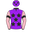 Runner silk