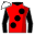 Runner silk