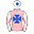 Runner silk